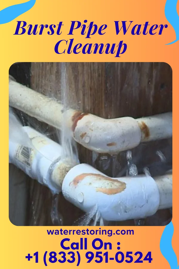Burst Pipe Water Cleanup in Ainsworth, IA