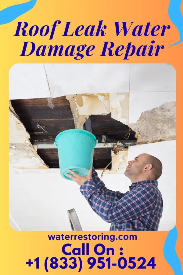 Roof Leak Water Damage Repair in Ainsworth, IA
