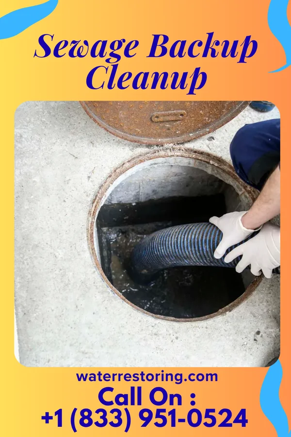 Sewage Backup Cleanup in Ainsworth, IA
